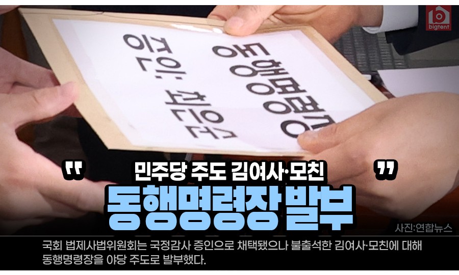 법사위, 김여사 국감 동행명령장 발부…민주당 주도